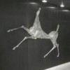 Cavallo rampante (1962), già sulla nave 'Guglielmo Marconi'; Galleria Storica Lloyd Triestino, Regione Friuli Venezia Giulia, Trieste