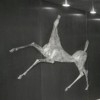 Cavallo rampante (1962, bronze, l. 225 x h. 150 cm., cat. 588 bis), first-class lounge room